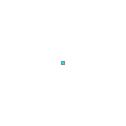 s0m 2025