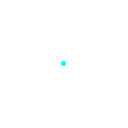 big circle dot